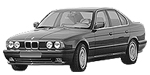 BMW E34 B208B Fault Code